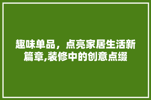 趣味单品，点亮家居生活新篇章,装修中的创意点缀