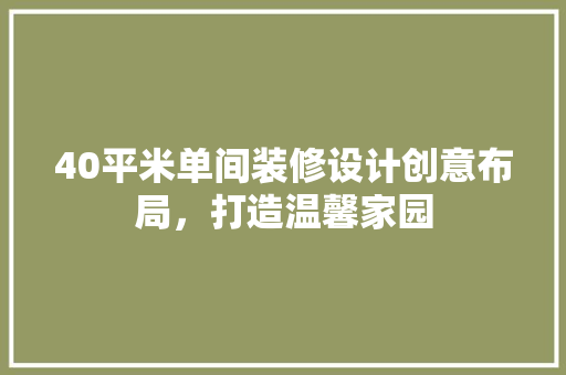 40平米单间装修设计创意布局，打造温馨家园  第1张