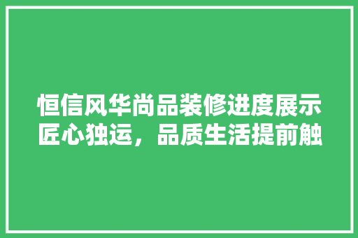 恒信风华尚品装修进度展示匠心独运，品质生活提前触手可及