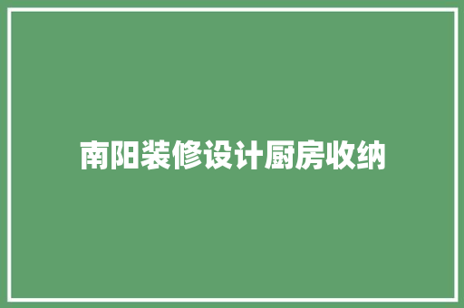南阳装修设计厨房收纳  第1张