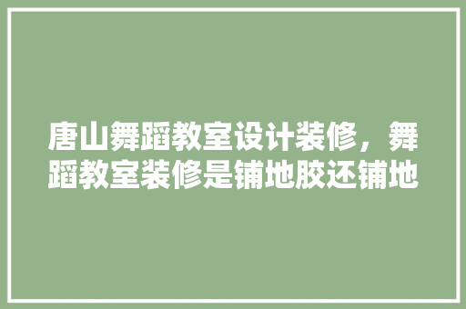 唐山舞蹈教室设计装修，舞蹈教室装修是铺地胶还铺地板好
