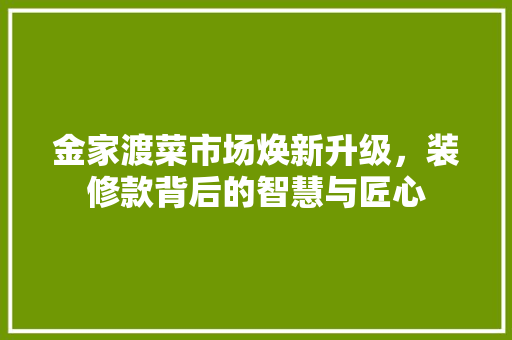 金家渡菜市场焕新升级，装修款背后的智慧与匠心