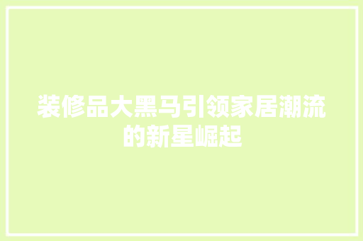 装修品大黑马引领家居潮流的新星崛起