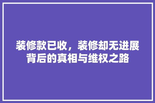 装修款已收，装修却无进展背后的真相与维权之路