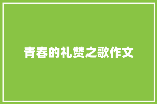 装修款预付报告详细预付款项的合理运用与风险防范