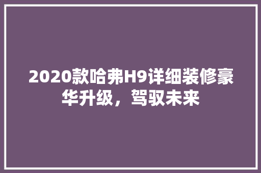 2020款哈弗H9详细装修豪华升级，驾驭未来