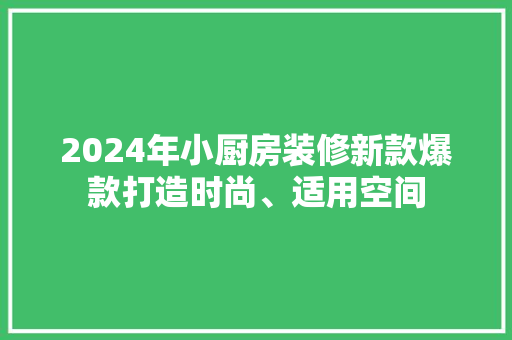2024年小厨房装修新款爆款打造时尚、适用空间