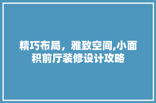 精巧布局，雅致空间,小面积前厅装修设计攻略