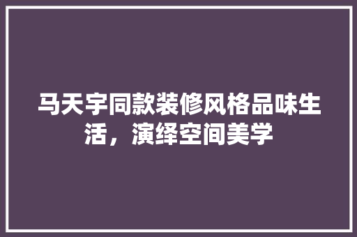 马天宇同款装修风格品味生活，演绎空间美学  第1张