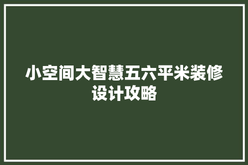 小空间大智慧五六平米装修设计攻略