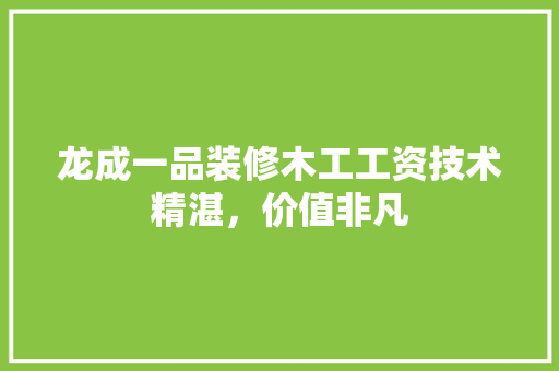 龙成一品装修木工工资技术精湛，价值非凡