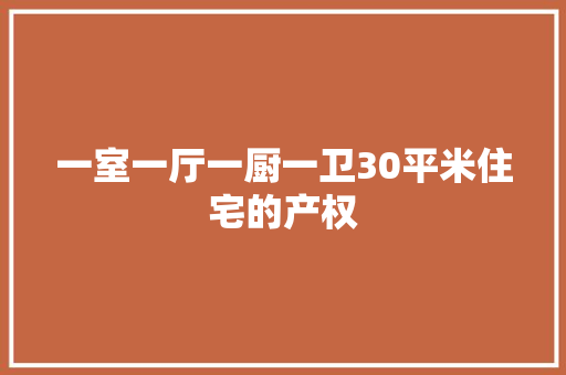 一室一厅一厨一卫30平米住宅的产权  第1张