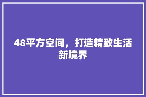 48平方空间，打造精致生活新境界