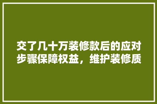 交了几十万装修款后的应对步骤保障权益，维护装修质量