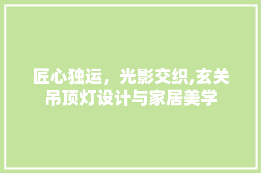 匠心独运，光影交织,玄关吊顶灯设计与家居美学