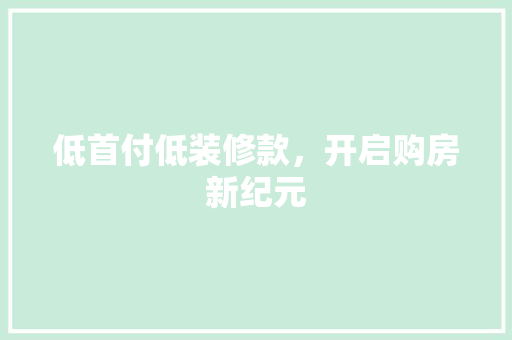 低首付低装修款，开启购房新纪元