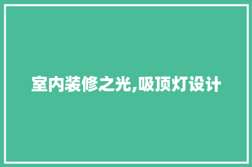 室内装修之光,吸顶灯设计
