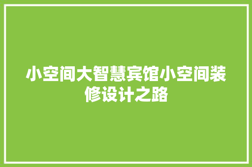 小空间大智慧宾馆小空间装修设计之路