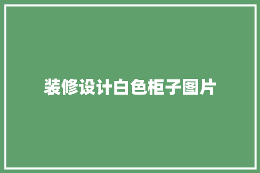 装修设计白色柜子图片  第1张