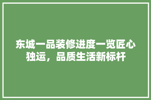 东城一品装修进度一览匠心独运，品质生活新标杆
