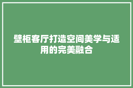 壁柜客厅打造空间美学与适用的完美融合