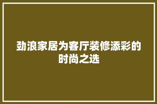 劲浪家居为客厅装修添彩的时尚之选  第1张