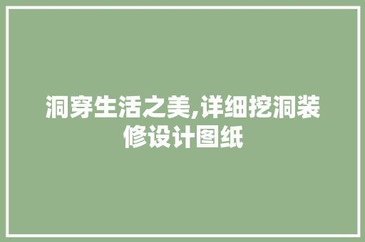 洞穿生活之美,详细挖洞装修设计图纸