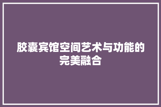 胶囊宾馆空间艺术与功能的完美融合