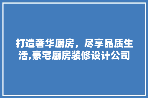 打造奢华厨房，尽享品质生活,豪宅厨房装修设计公司引领家居潮流