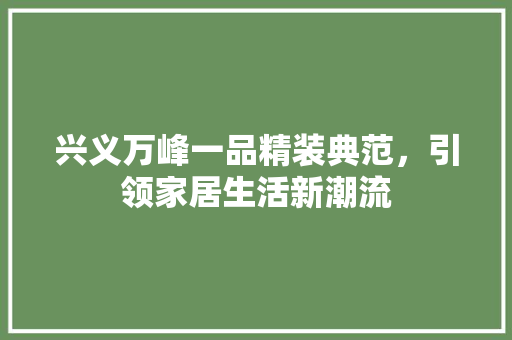 兴义万峰一品精装典范，引领家居生活新潮流