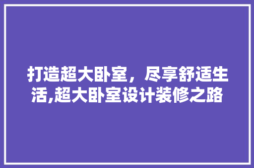 打造超大卧室，尽享舒适生活,超大卧室设计装修之路