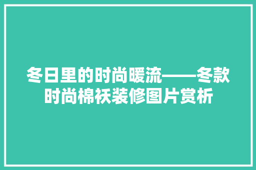 冬日里的时尚暖流——冬款时尚棉袄装修图片赏析