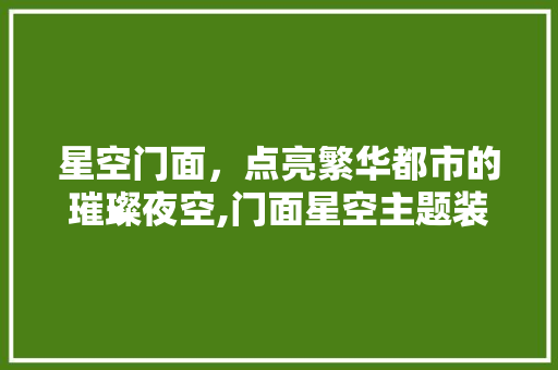 星空门面，点亮繁华都市的璀璨夜空,门面星空主题装修设计