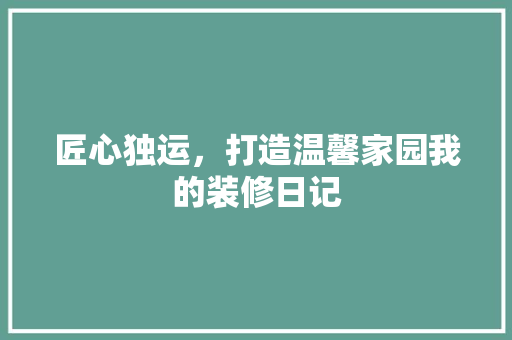 匠心独运，打造温馨家园我的装修日记