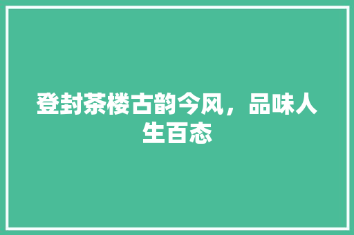 登封茶楼古韵今风，品味人生百态