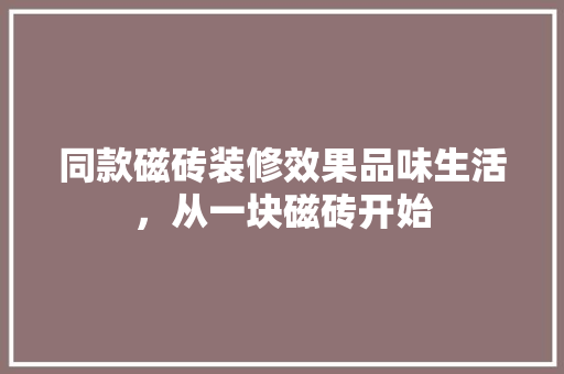 同款磁砖装修效果品味生活，从一块磁砖开始  第1张