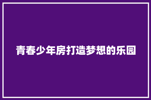 青春少年房打造梦想的乐园