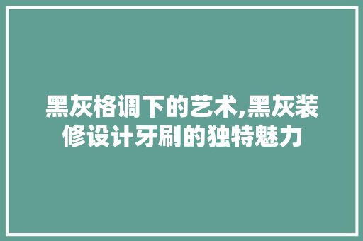 黑灰格调下的艺术,黑灰装修设计牙刷的独特魅力