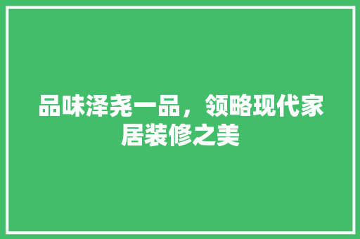 品味泽尧一品，领略现代家居装修之美  第1张