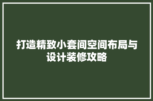 打造精致小套间空间布局与设计装修攻略