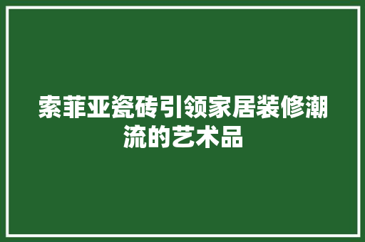 索菲亚瓷砖引领家居装修潮流的艺术品