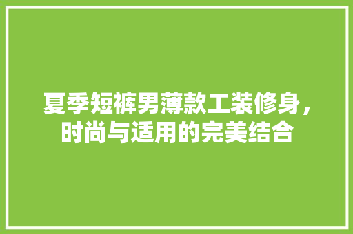 夏季短裤男薄款工装修身，时尚与适用的完美结合