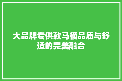 大品牌专供款马桶品质与舒适的完美融合  第1张