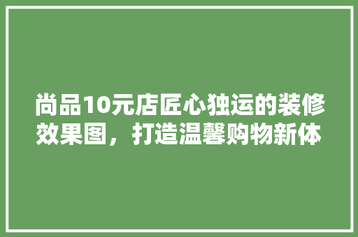 尚品10元店匠心独运的装修效果图，打造温馨购物新体验  第1张