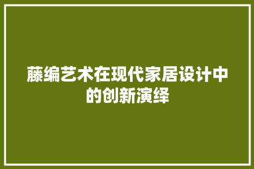 藤编艺术在现代家居设计中的创新演绎