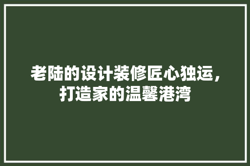 老陆的设计装修匠心独运，打造家的温馨港湾