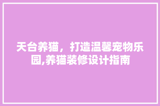天台养猫，打造温馨宠物乐园,养猫装修设计指南