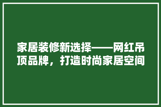 家居装修新选择——网红吊顶品牌，打造时尚家居空间