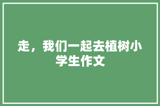 打造温馨小店装修设计要点与灵感来源