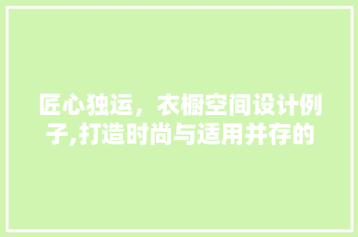 匠心独运，衣橱空间设计例子,打造时尚与适用并存的家居典范  第1张